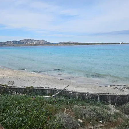 Il Mascone Apartment Stintino