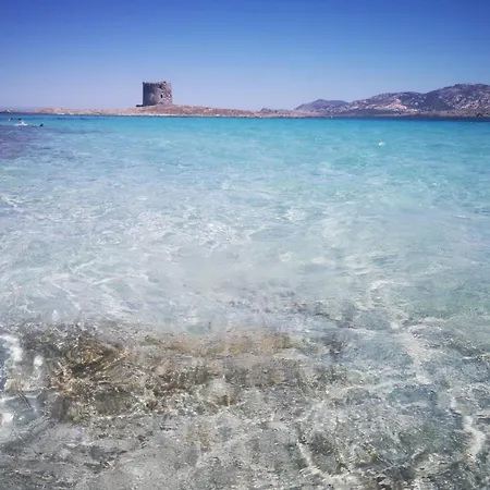 Διαμέρισμα Il Mascone Stintino
