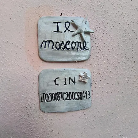 Il Mascone Lejlighed *